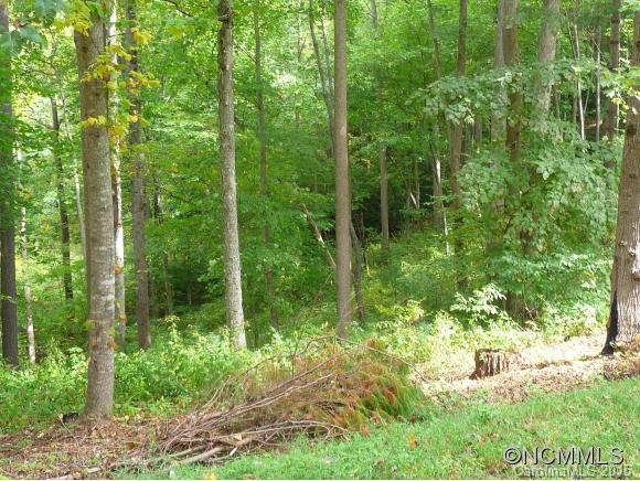 324 Ox Creek Road Weaverville NC 28787