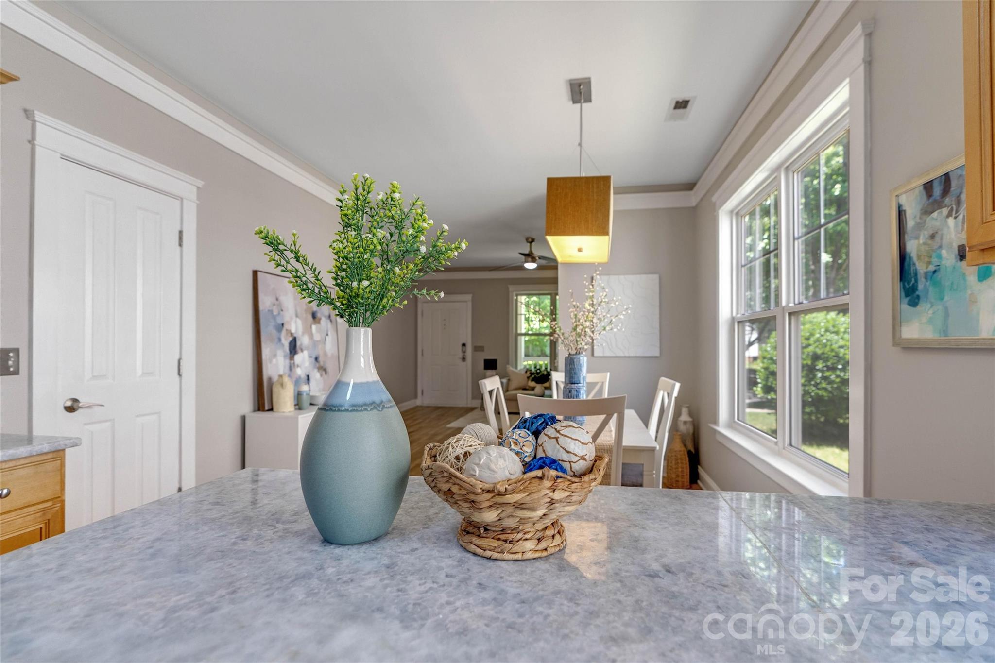 6747 E Douglas Park Drive Huntersville NC 28078