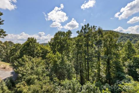 10 Scott Mountain Drive Asheville NC 28806