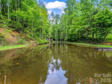 360 Shadow Lane Green Mountain NC 28740