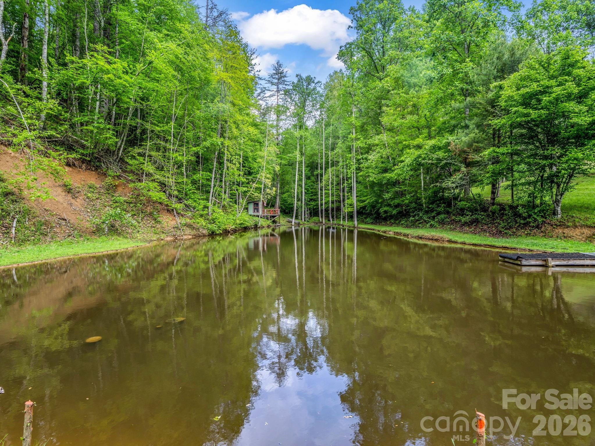 360 Shadow Lane Green Mountain NC 28740