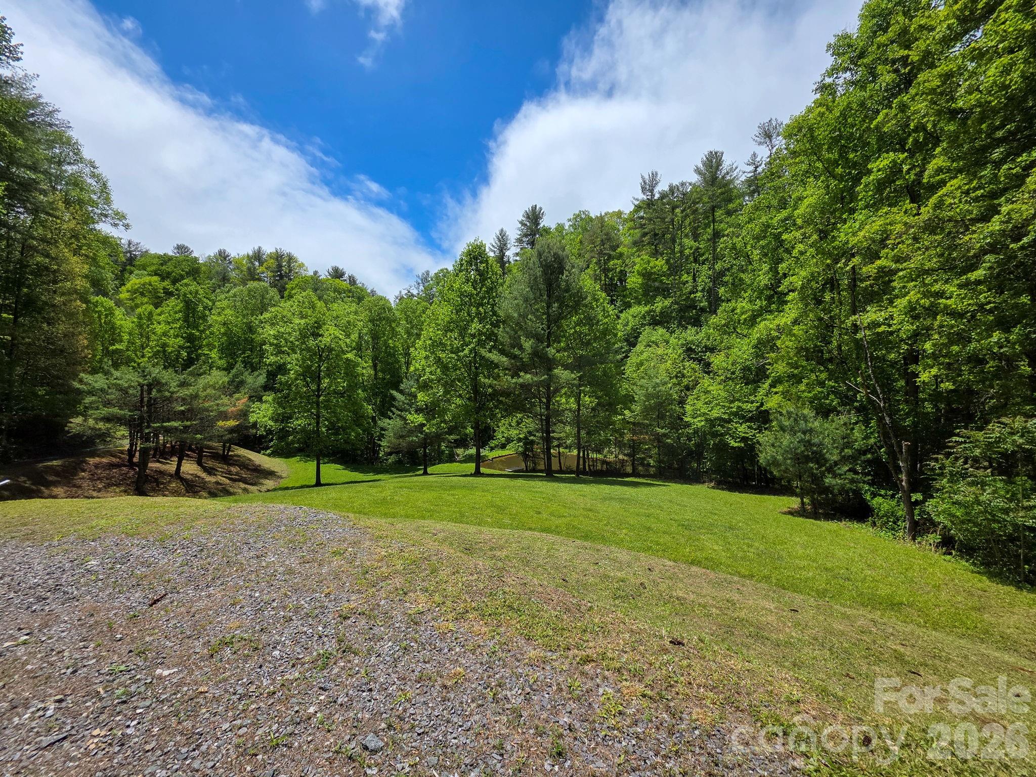 360 Shadow Lane Green Mountain NC 28740