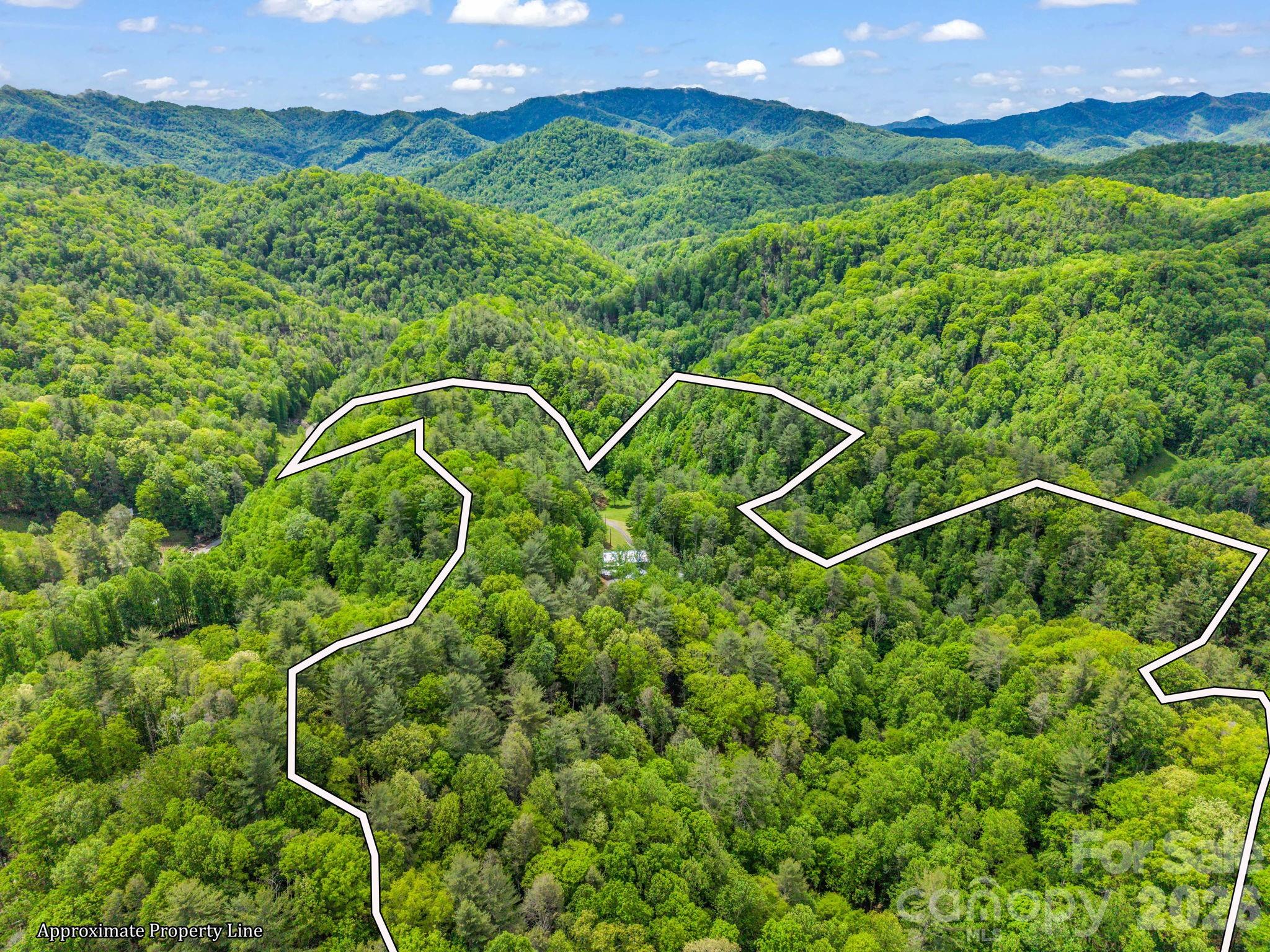 360 Shadow Lane Green Mountain NC 28740
