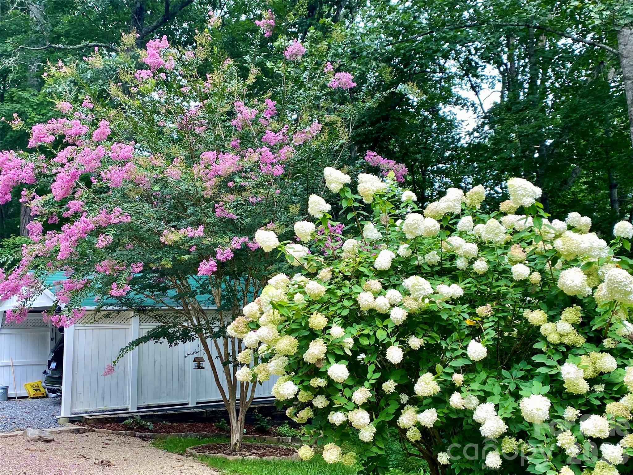 109 Paradise Circle Clyde NC 28721