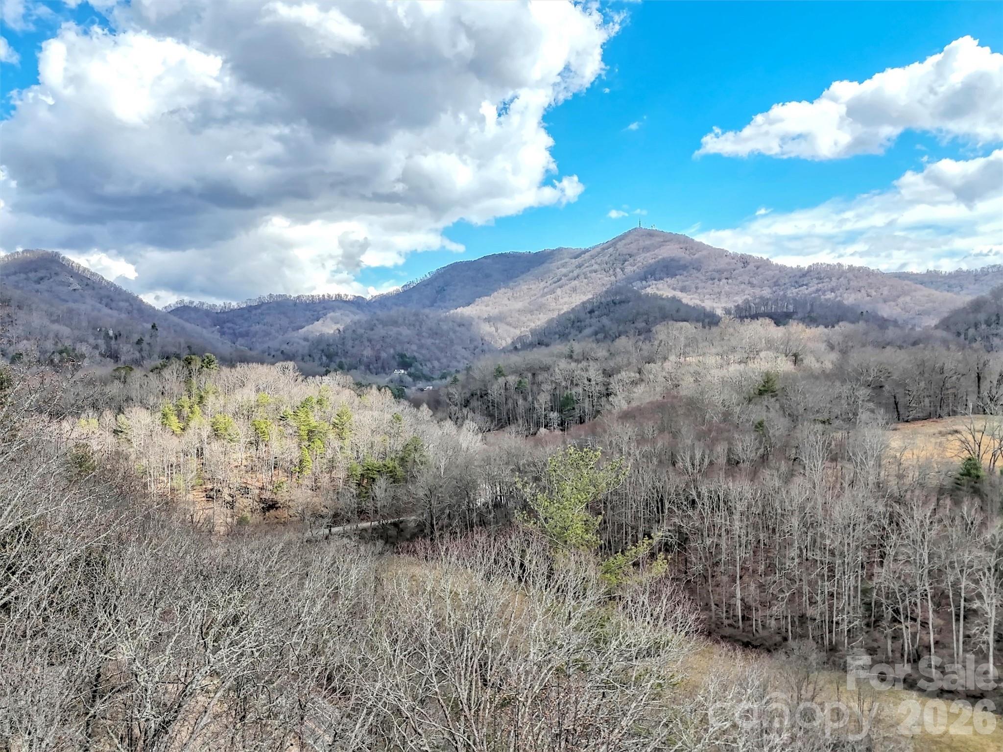 109 Paradise Circle Clyde NC 28721