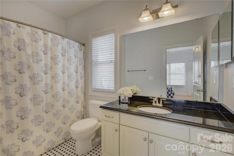 13203 Coyote Creek Court Charlotte NC 28278