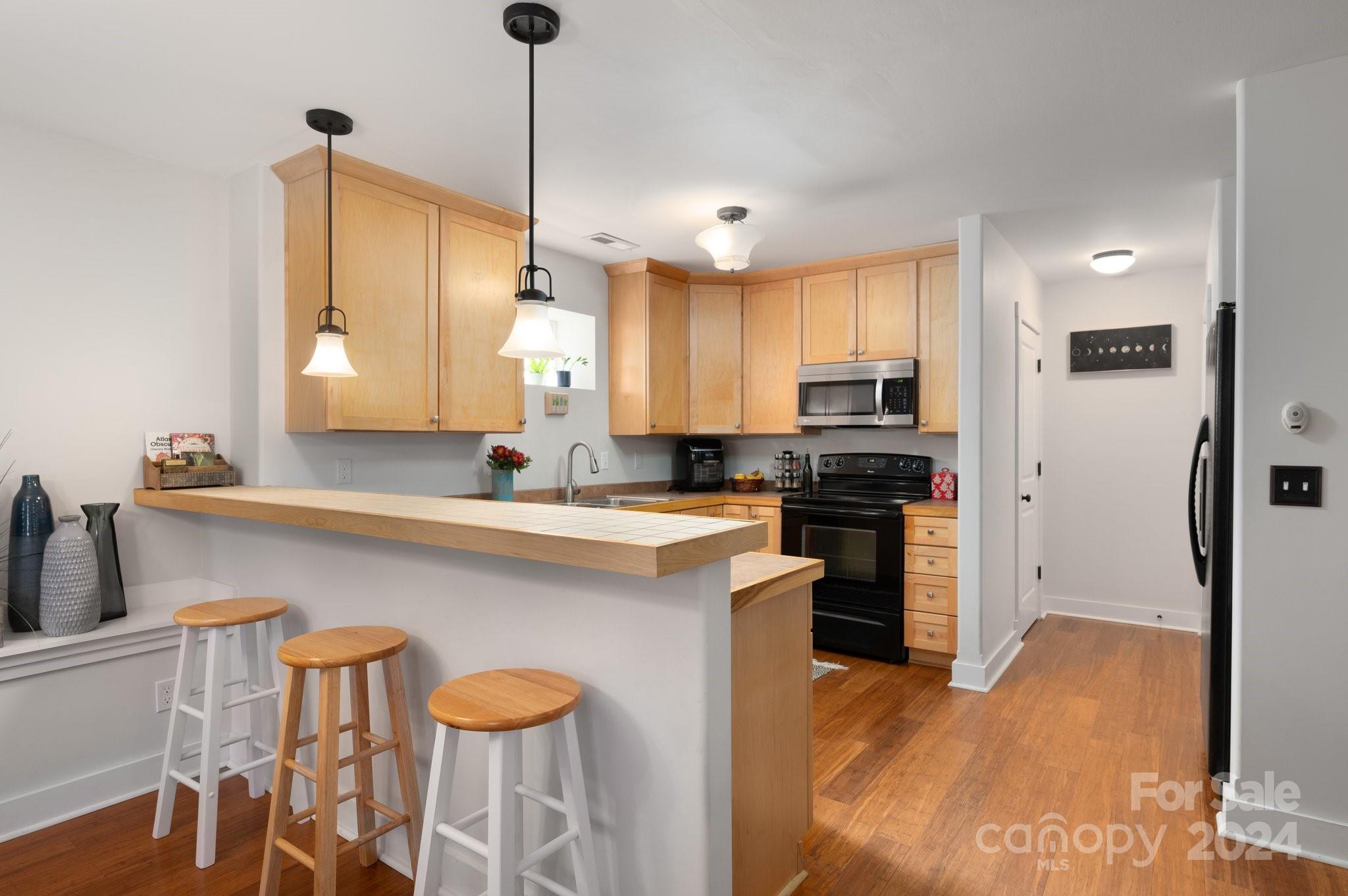 11 Knotty Alder Court Candler NC 28715