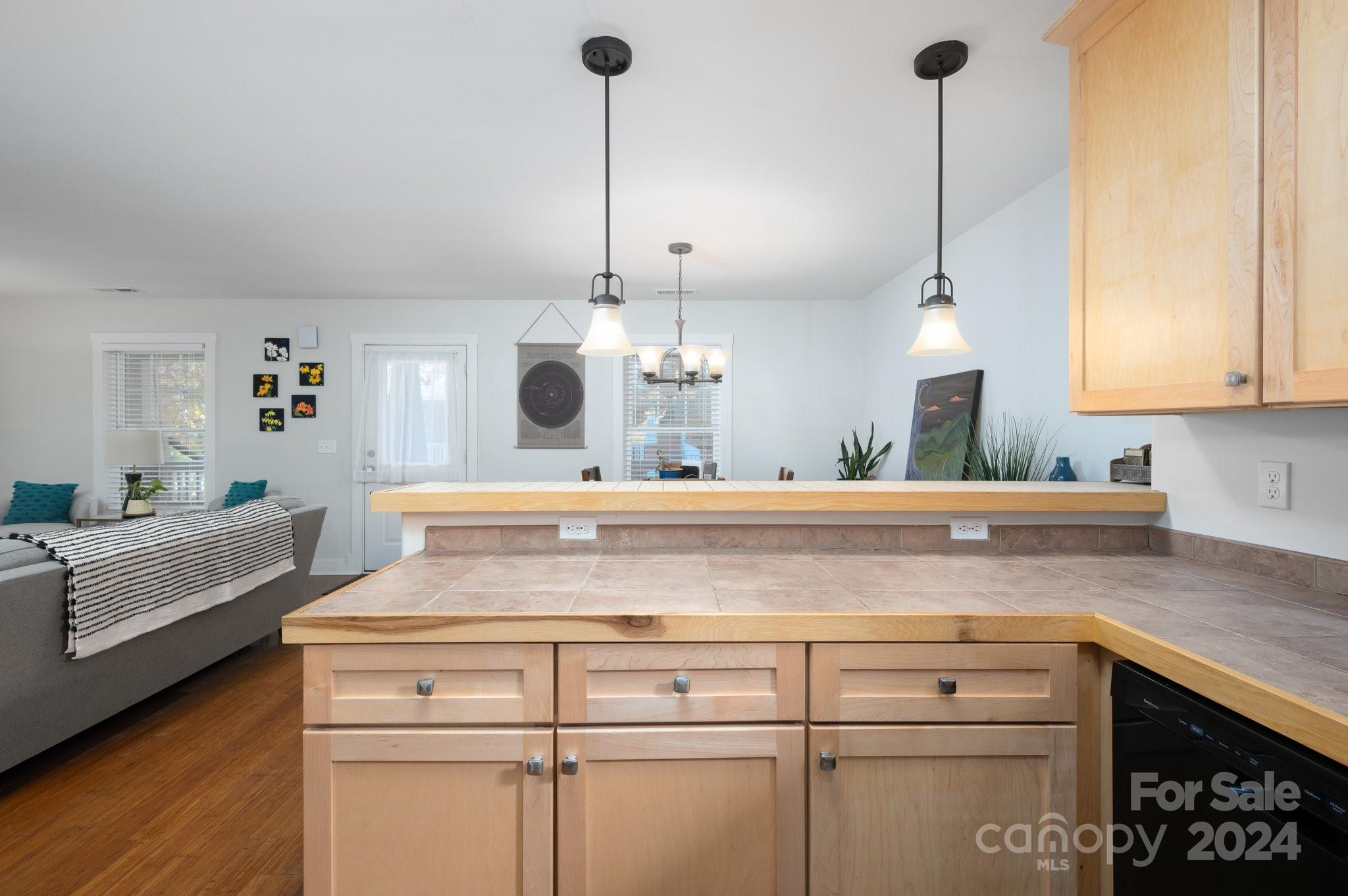 11 Knotty Alder Court Candler NC 28715