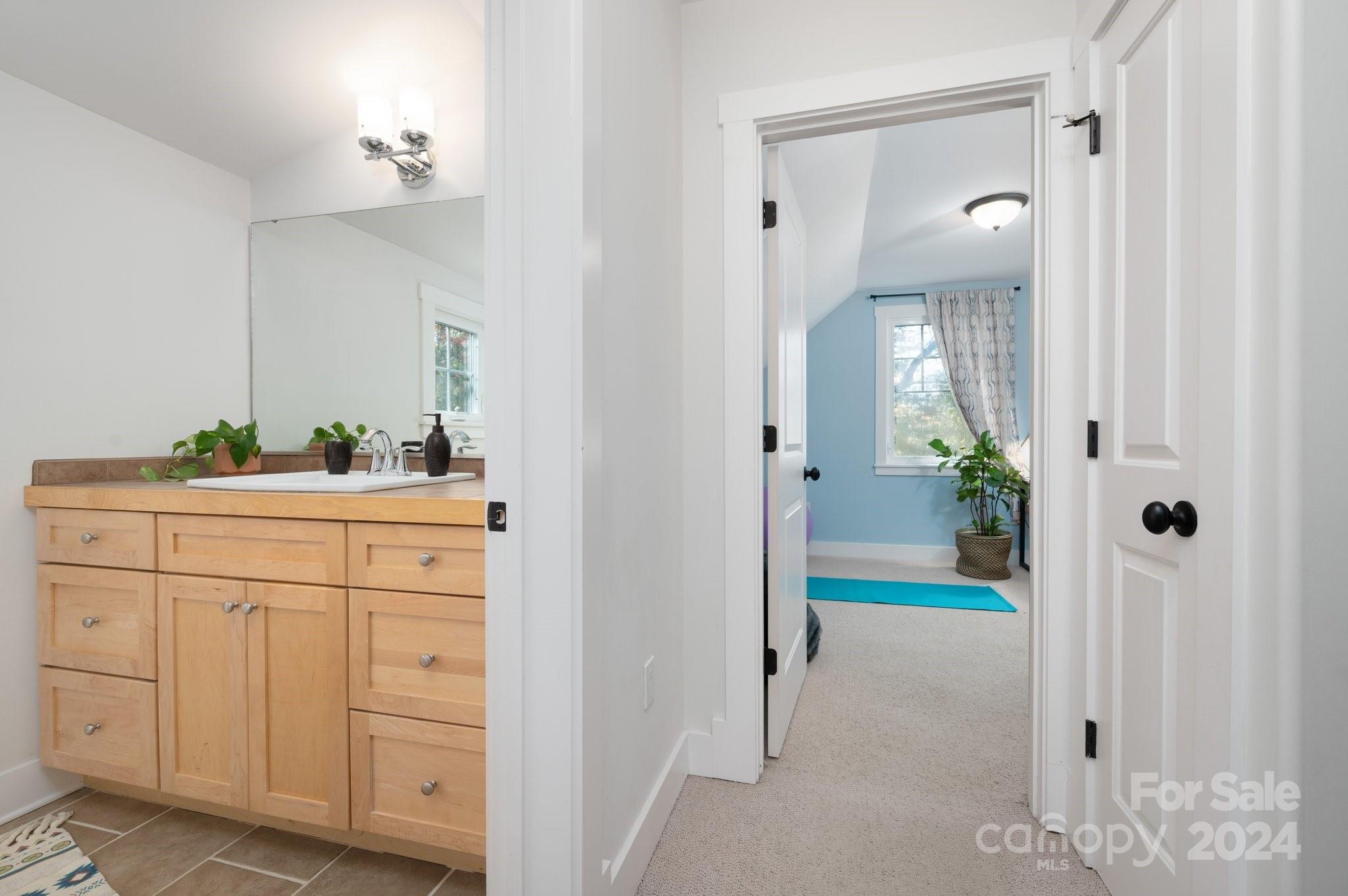 11 Knotty Alder Court Candler NC 28715