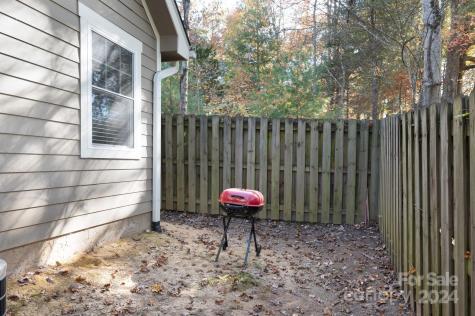 11 Knotty Alder Court Candler NC 28715