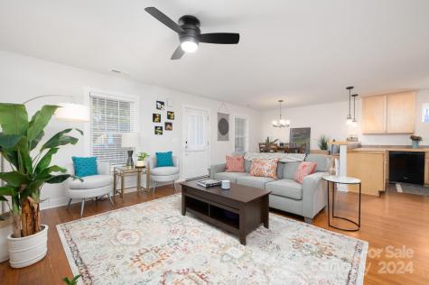 11 Knotty Alder Court Candler NC 28715