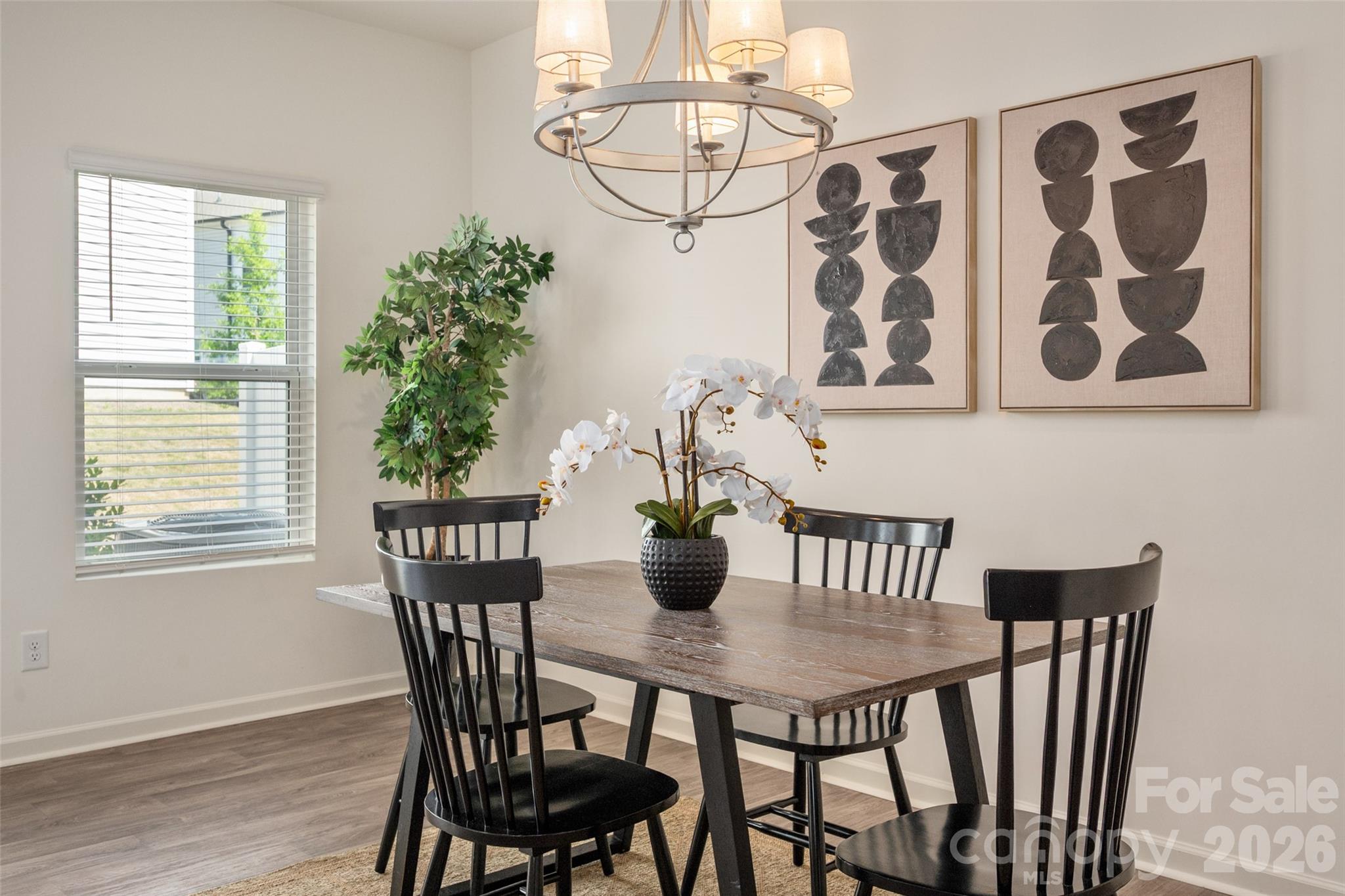 13205 Gadwal Pintail Drive Charlotte NC 28262