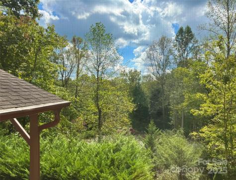 17 Brandywine Lane Asheville NC 28805