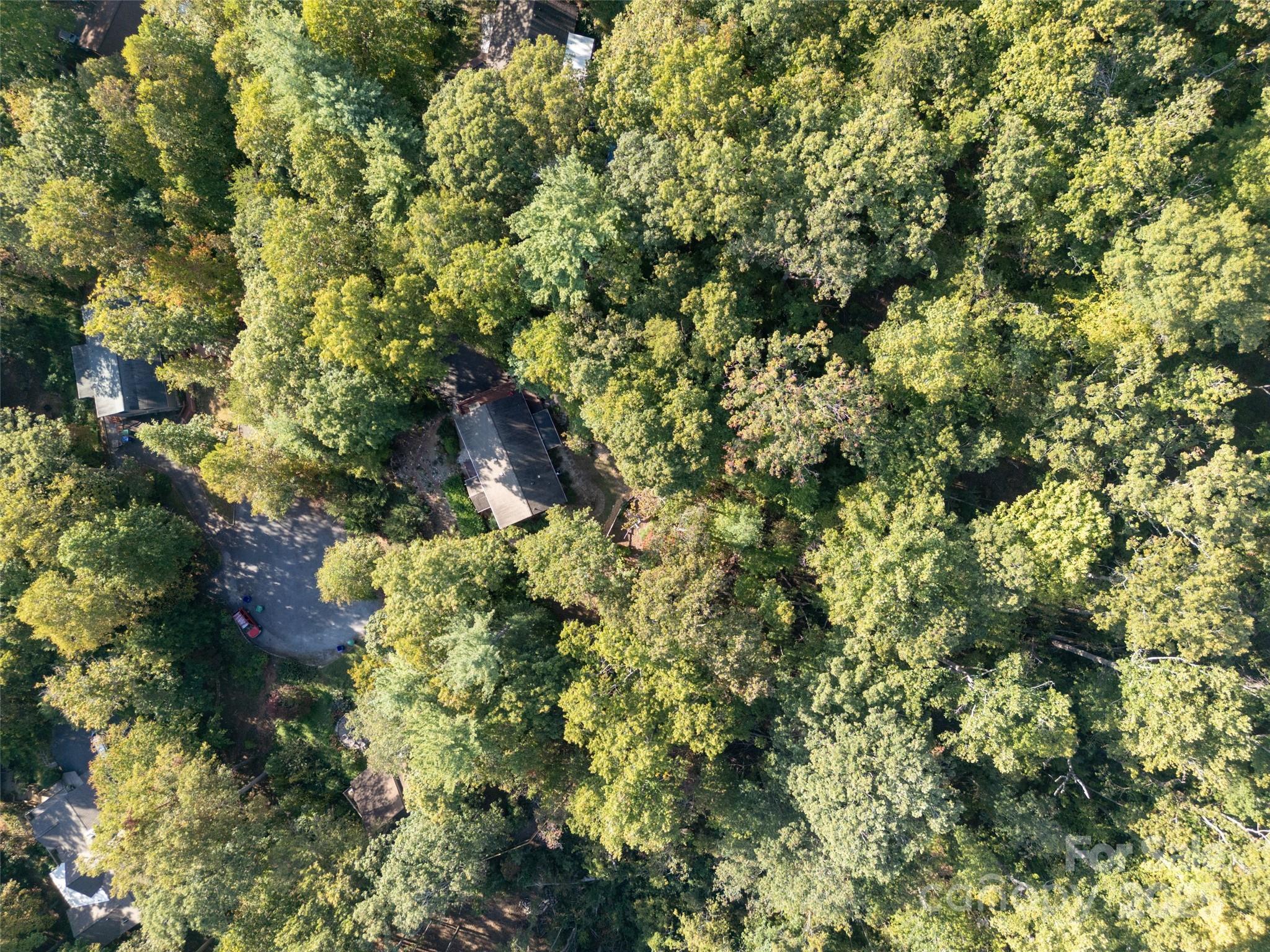 17 Brandywine Lane Asheville NC 28805