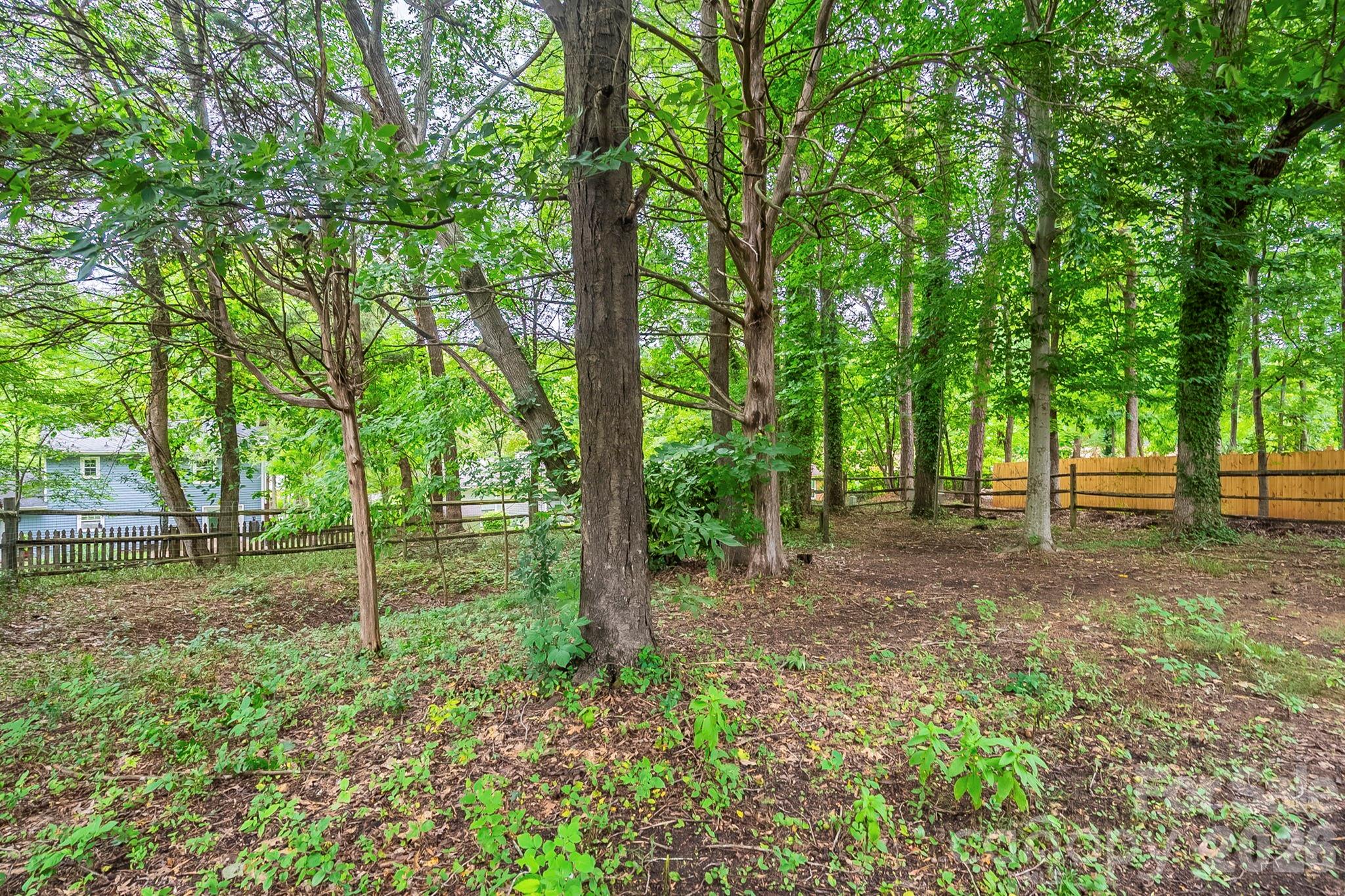 6410 Pineburr Court Charlotte NC 28211