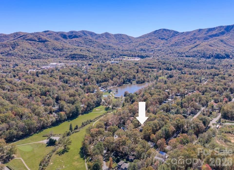 597 Tomahawk Avenue Black Mountain NC 28711