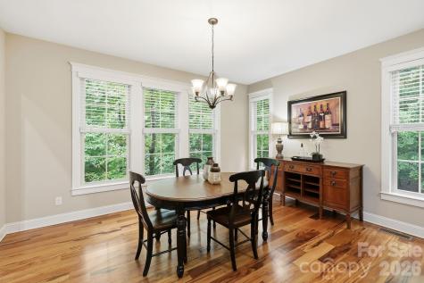 129 Orvis Stone Circle Biltmore Lake NC 28715