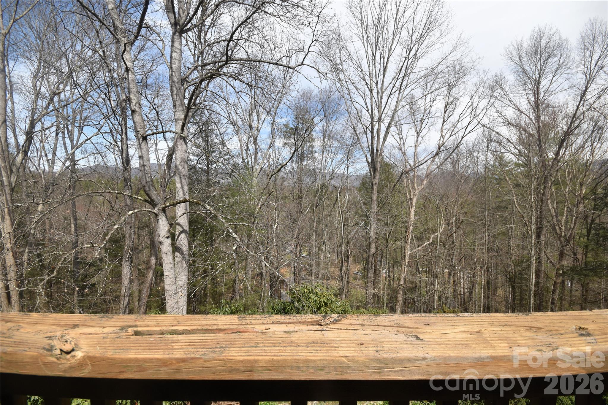 85 Homlish Gardens Drive Waynesville NC 28785