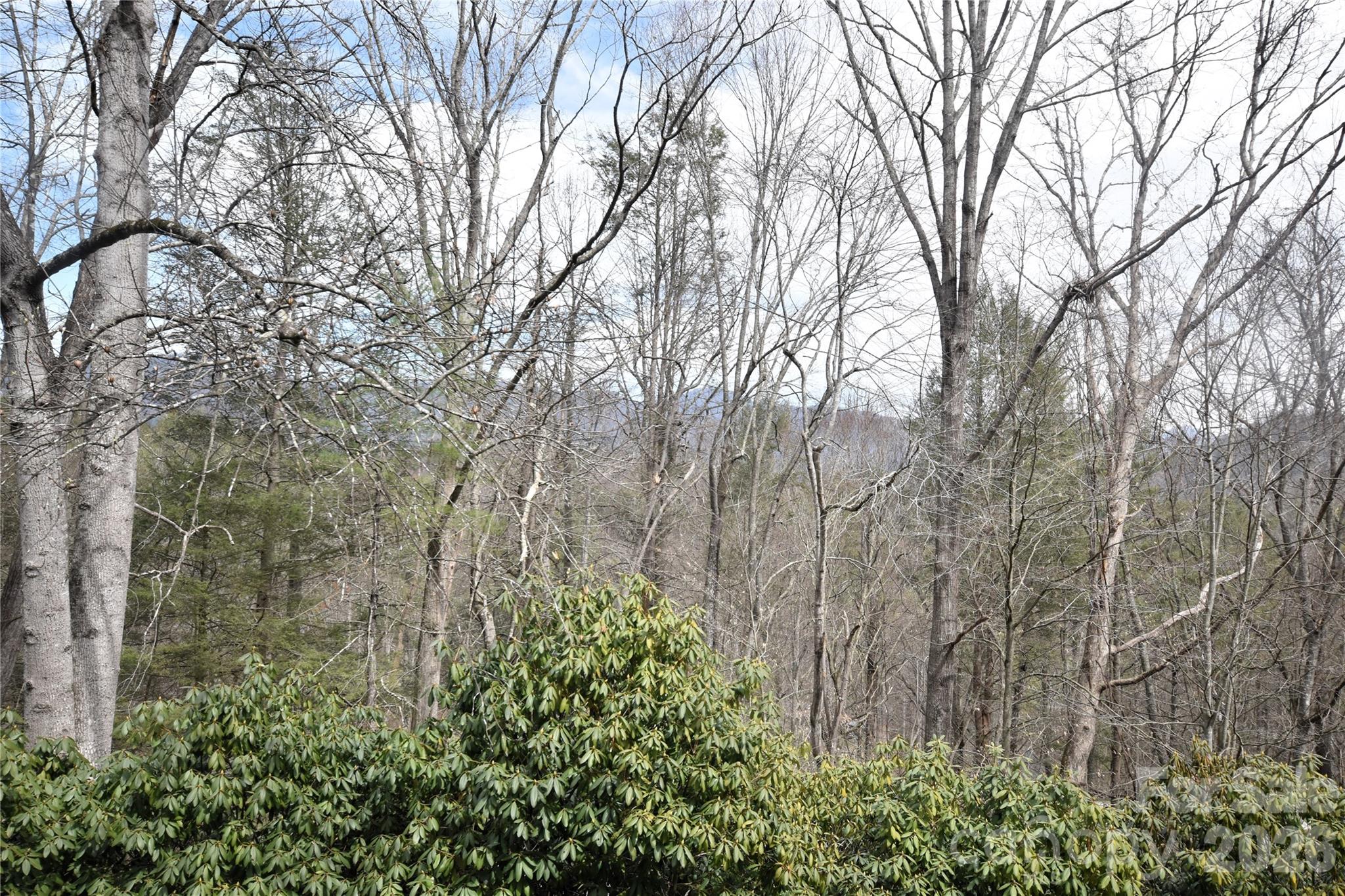 85 Homlish Gardens Drive Waynesville NC 28785