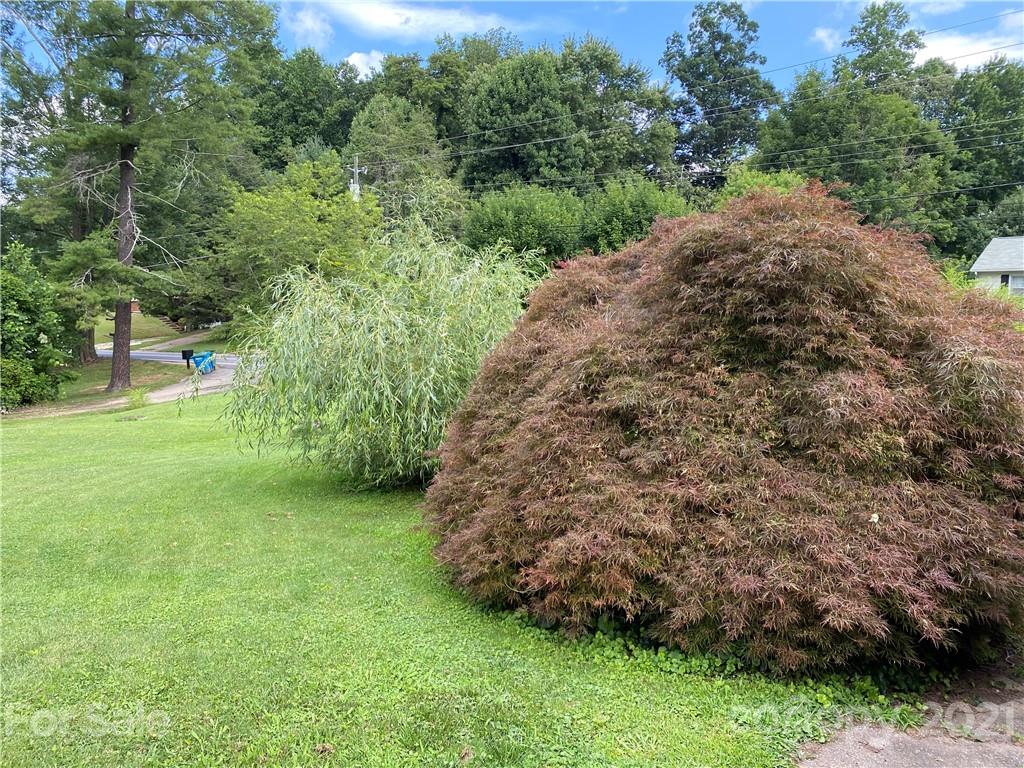 251 Monte Vista Road Candler NC 28715