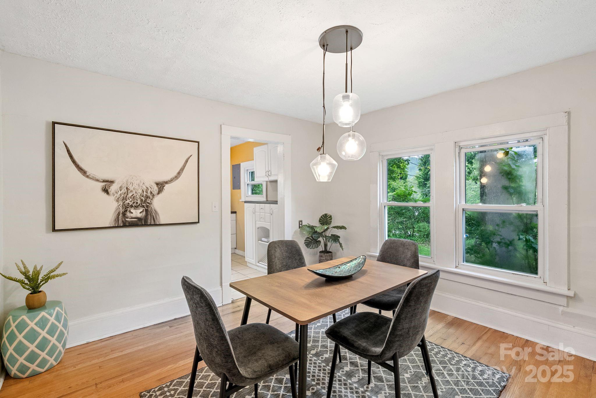 113 4th Street Black Mountain NC 28711