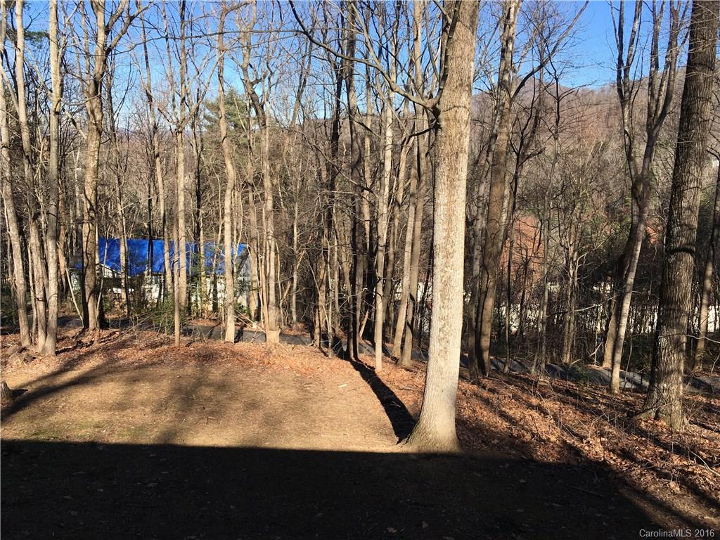 64 Mountain Site Lane Asheville NC 28803