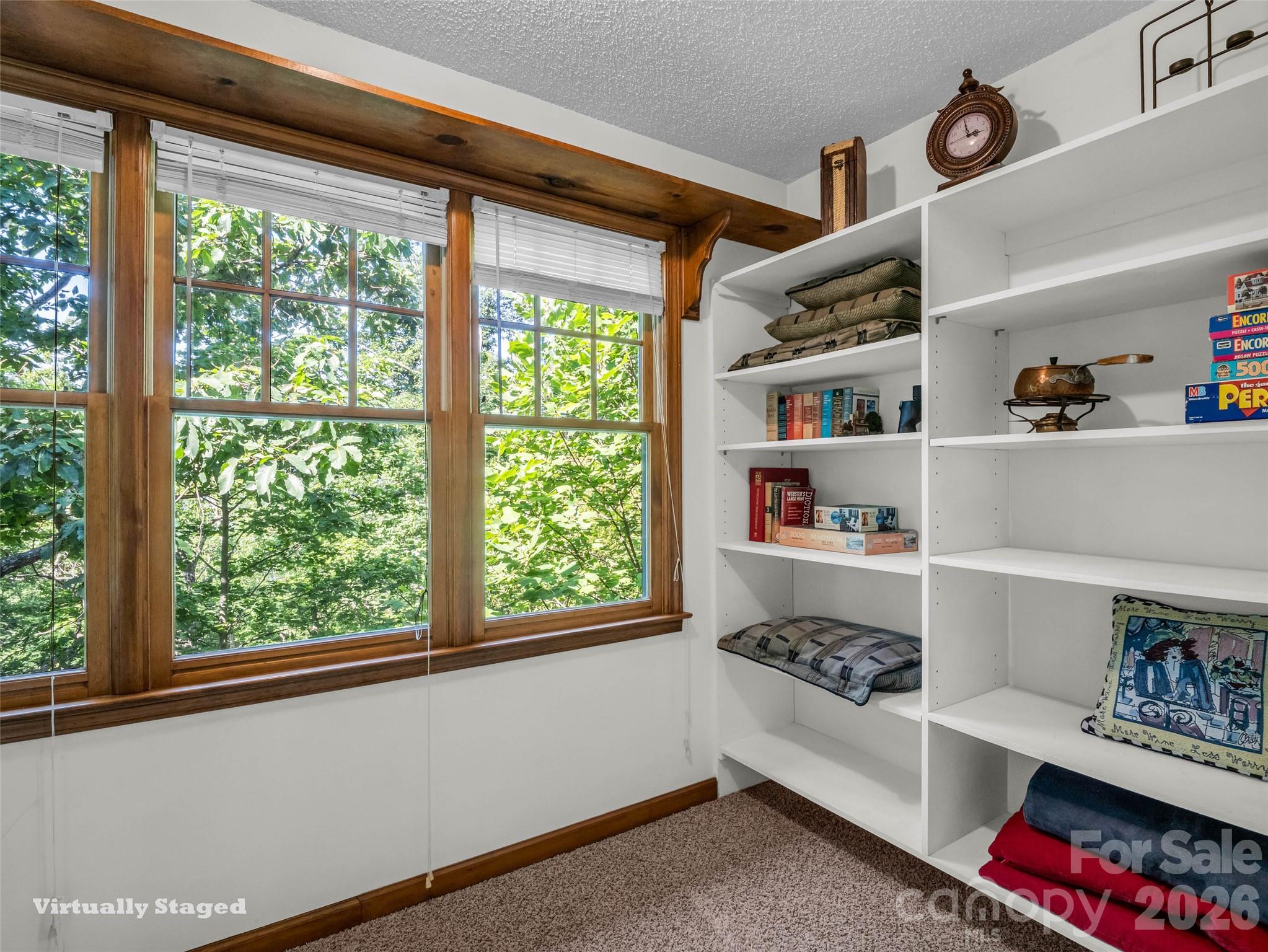 439 Youngs Mountain Drive Lake Lure NC 28746