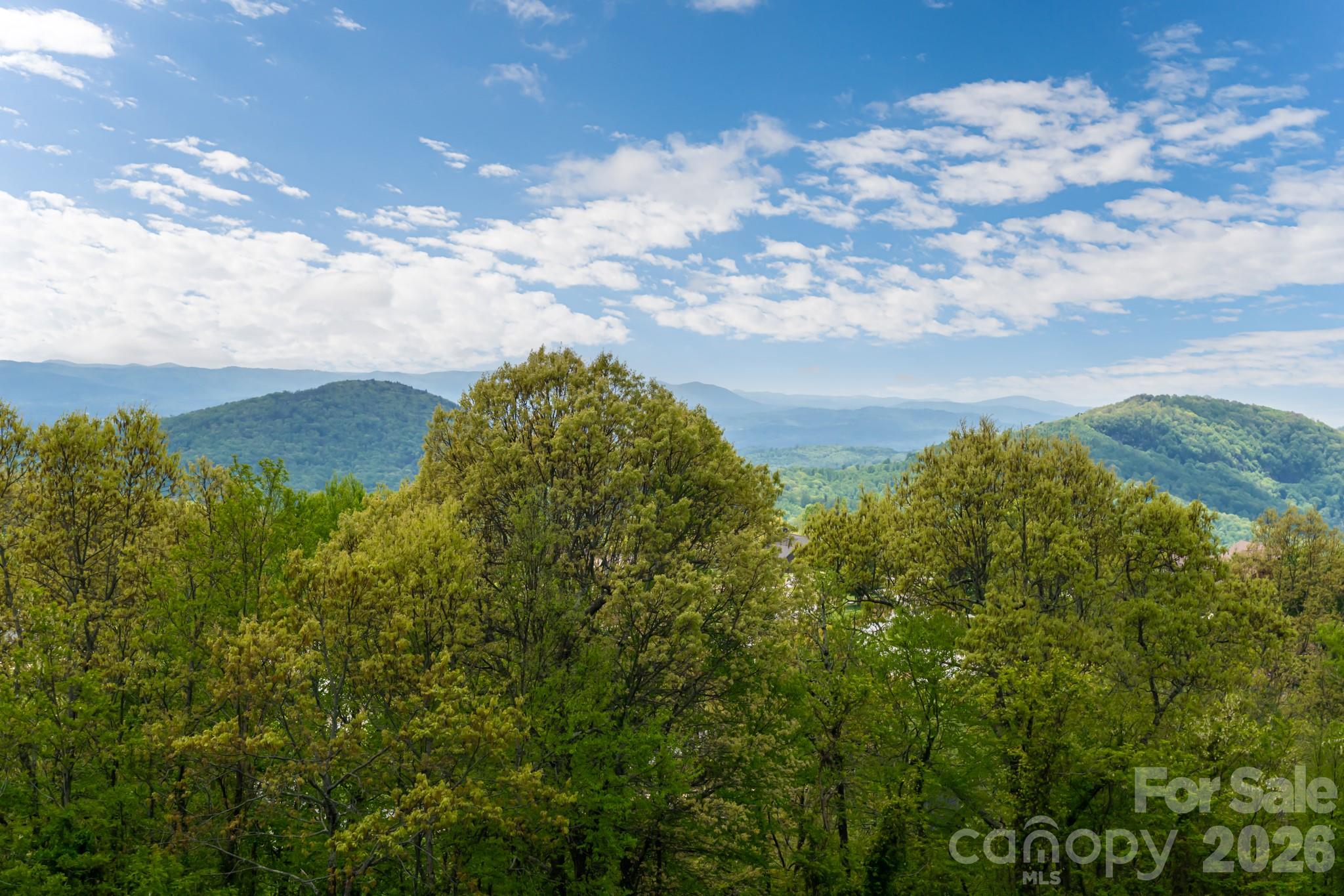 332 Summerset Drive Hendersonville NC 28792