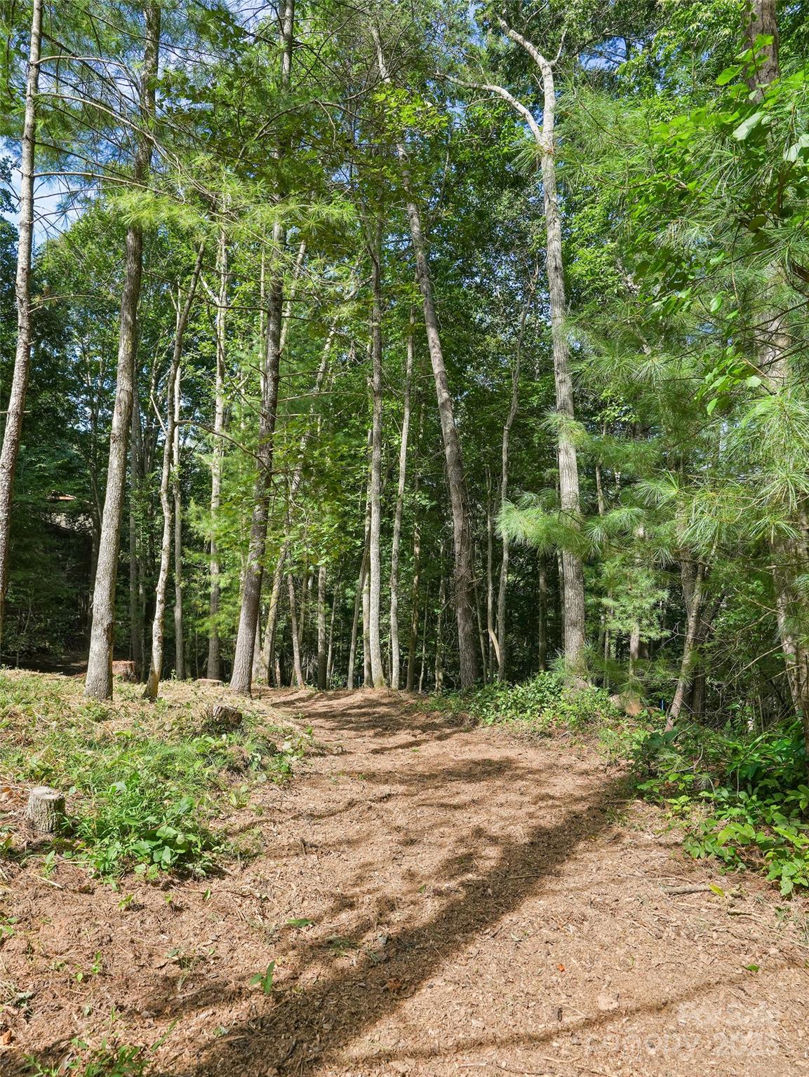 11 Tahchee Trail Fletcher NC 28732