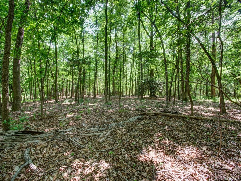 6422 Sharon Hills Road Charlotte NC 28210