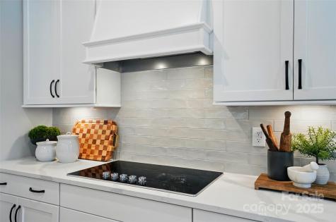 12051 Lavinia Lane Charlotte NC 28277