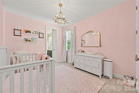 17403 Saranita Lane Charlotte NC 28278