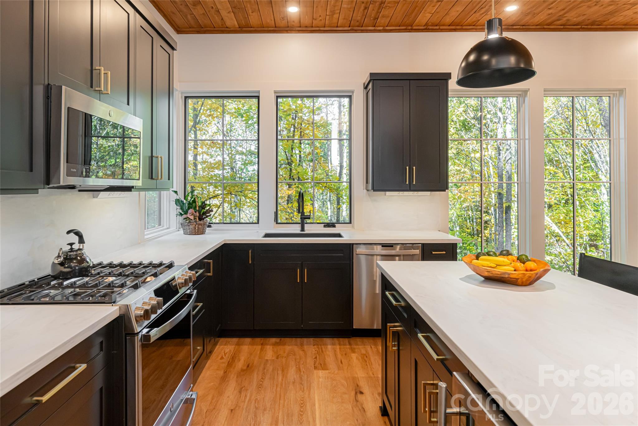 256 Haulback Way Sylva NC 28779