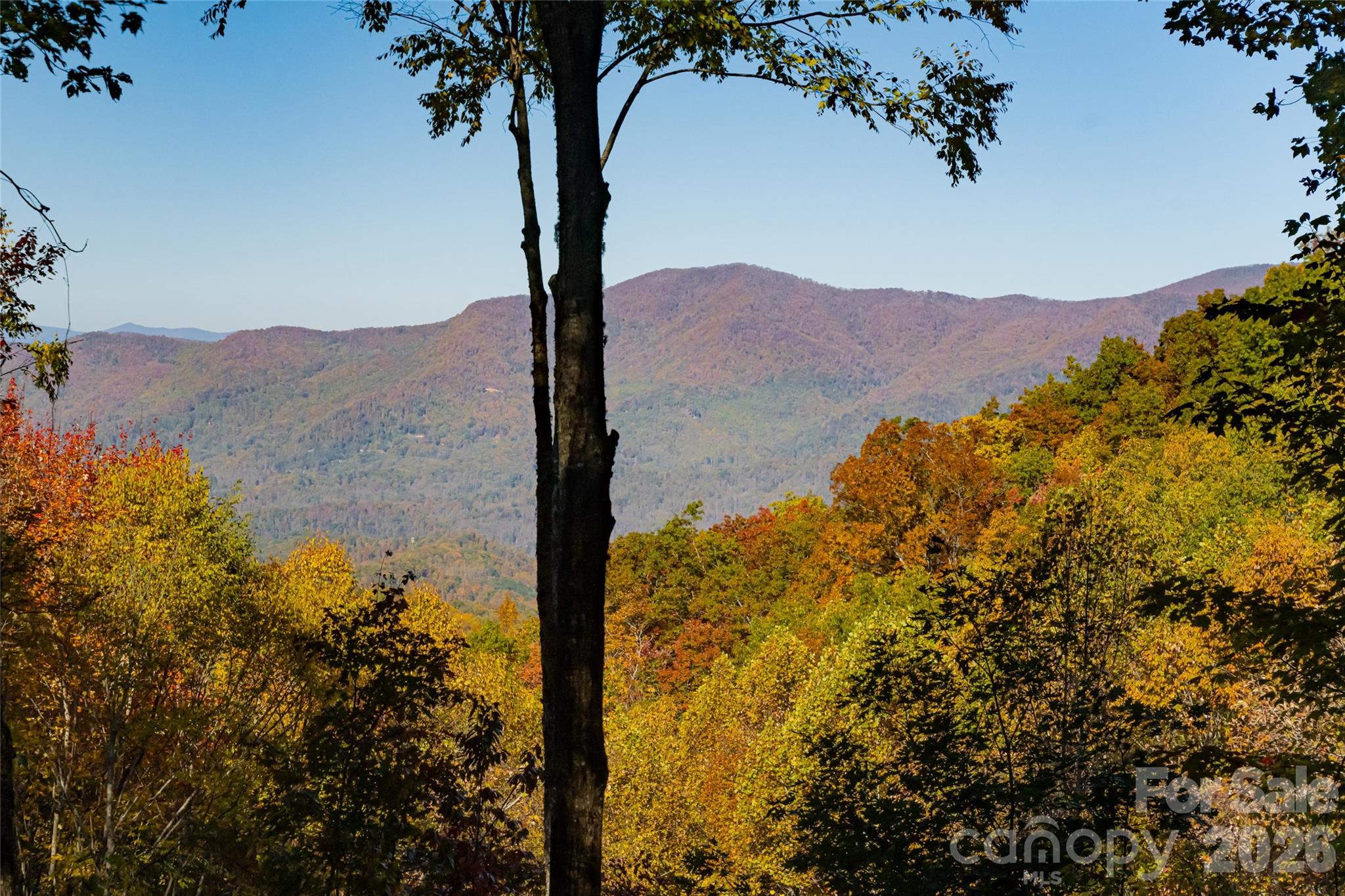 256 Haulback Way Sylva NC 28779