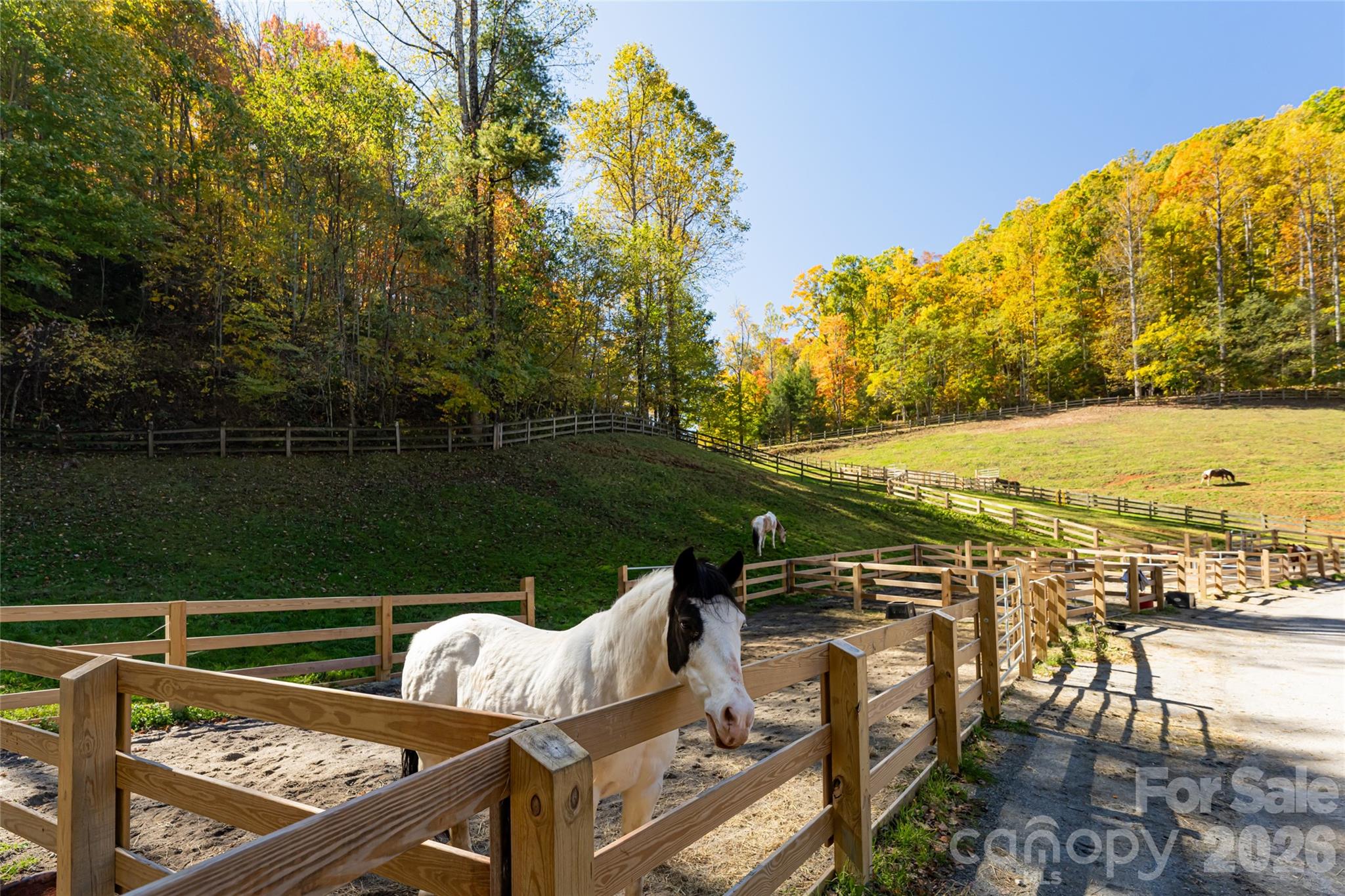 256 Haulback Way Sylva NC 28779