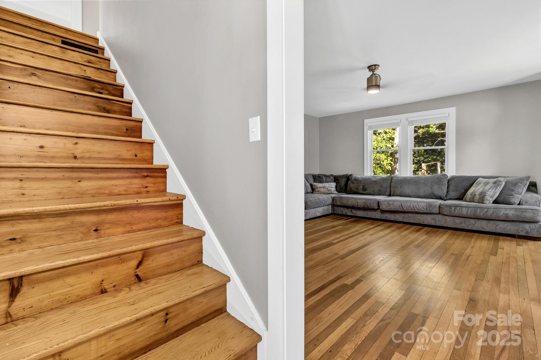 14 Mineral Springs Road Asheville NC 28805