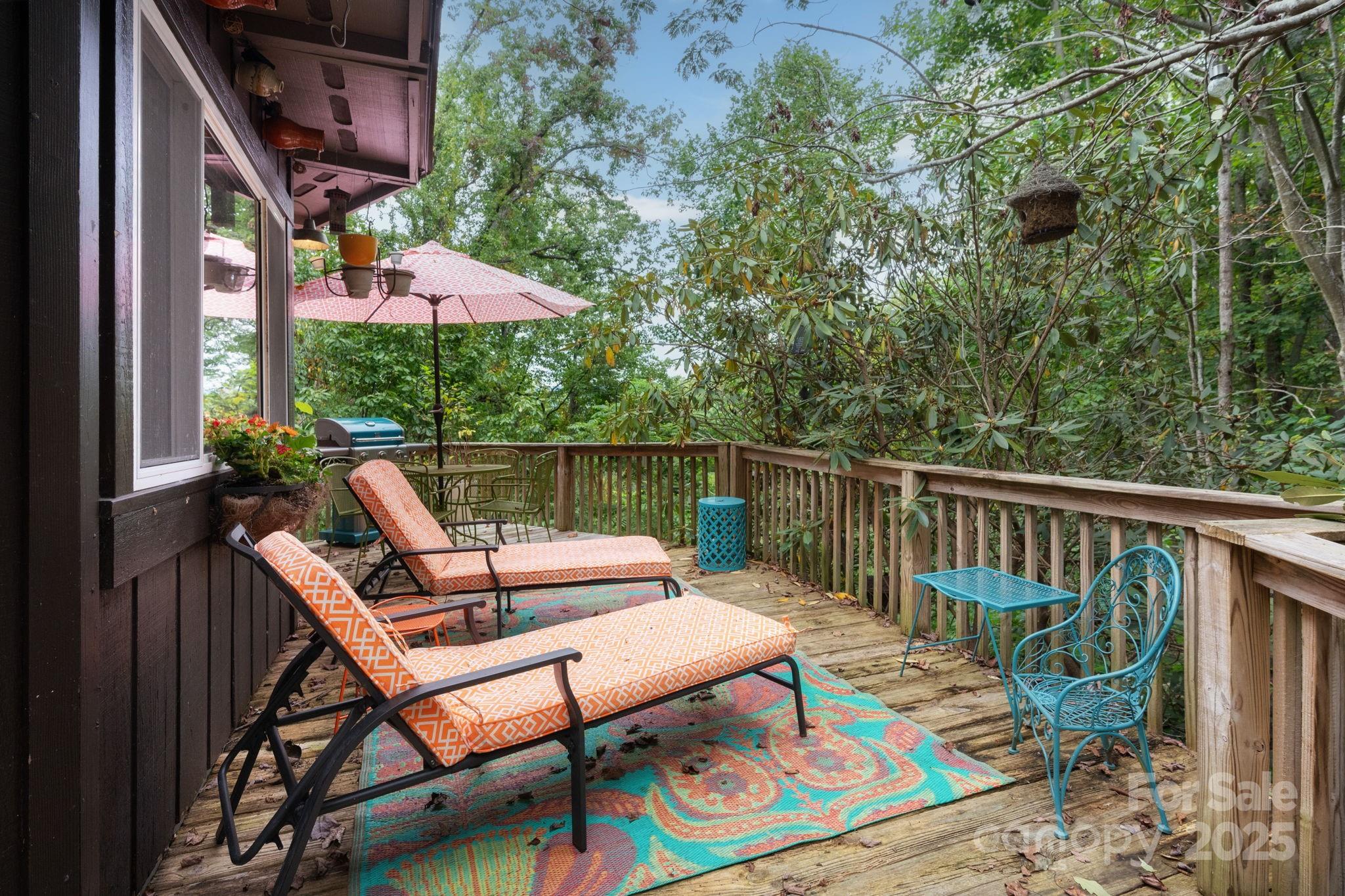 9 Reuben Road Asheville NC 28804