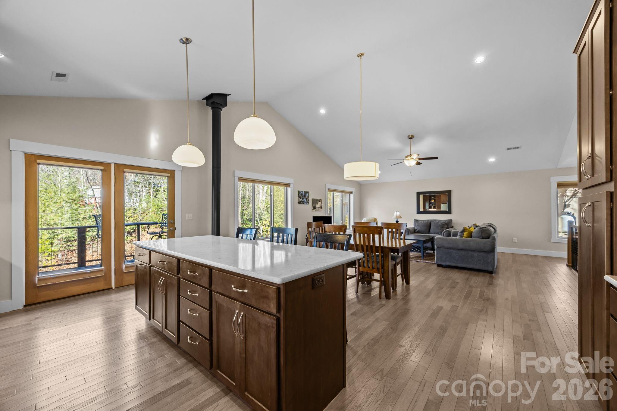 19 Dunsmore Avenue Black Mountain NC 28711