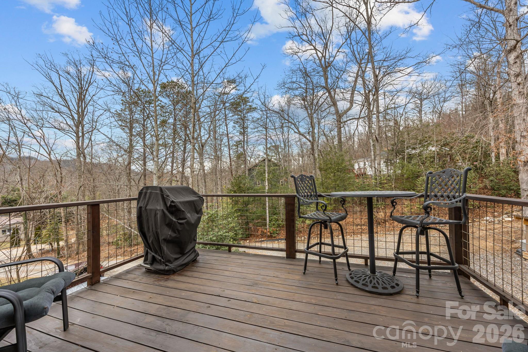 19 Dunsmore Avenue Black Mountain NC 28711