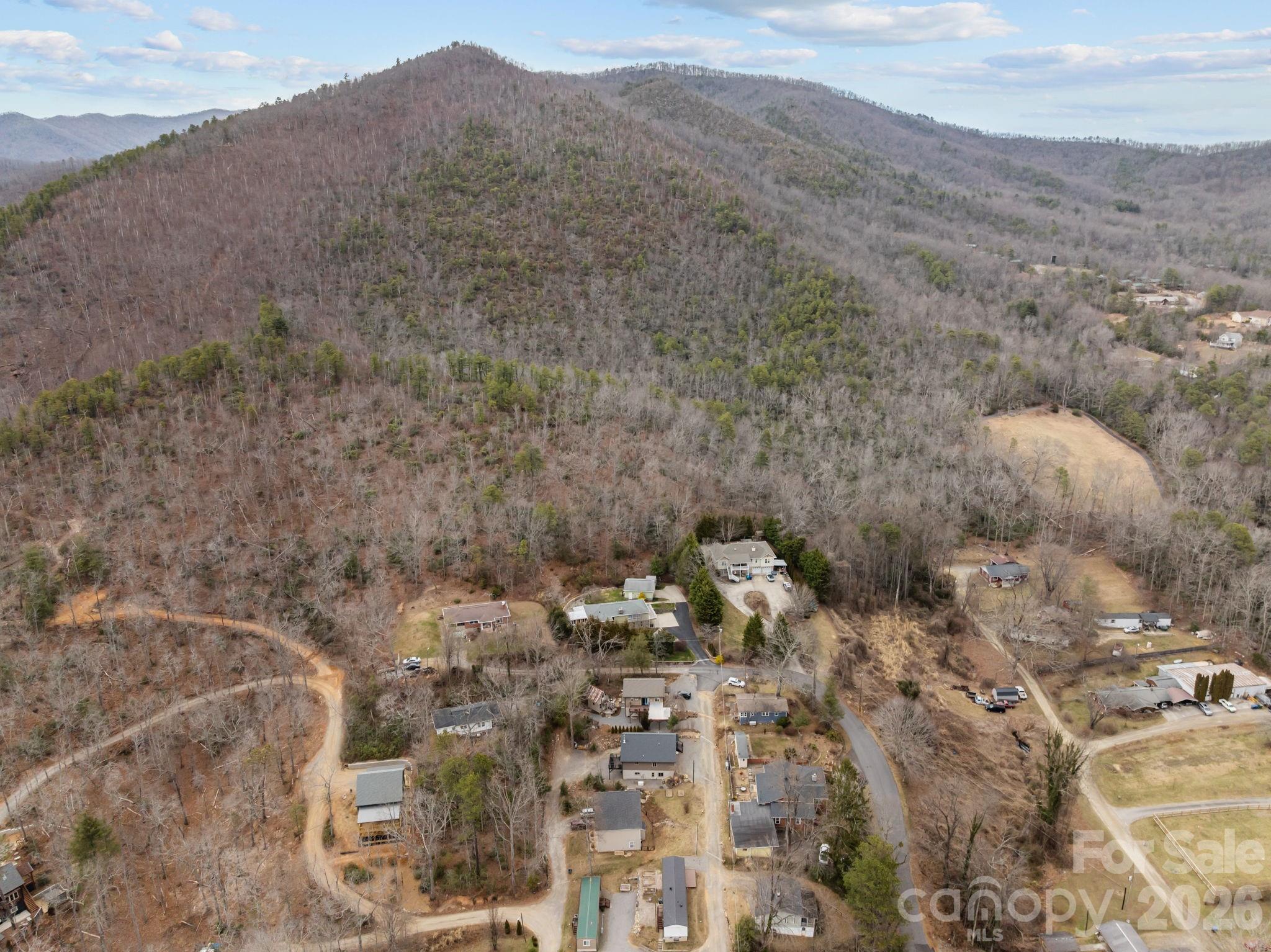 19 Dunsmore Avenue Black Mountain NC 28711