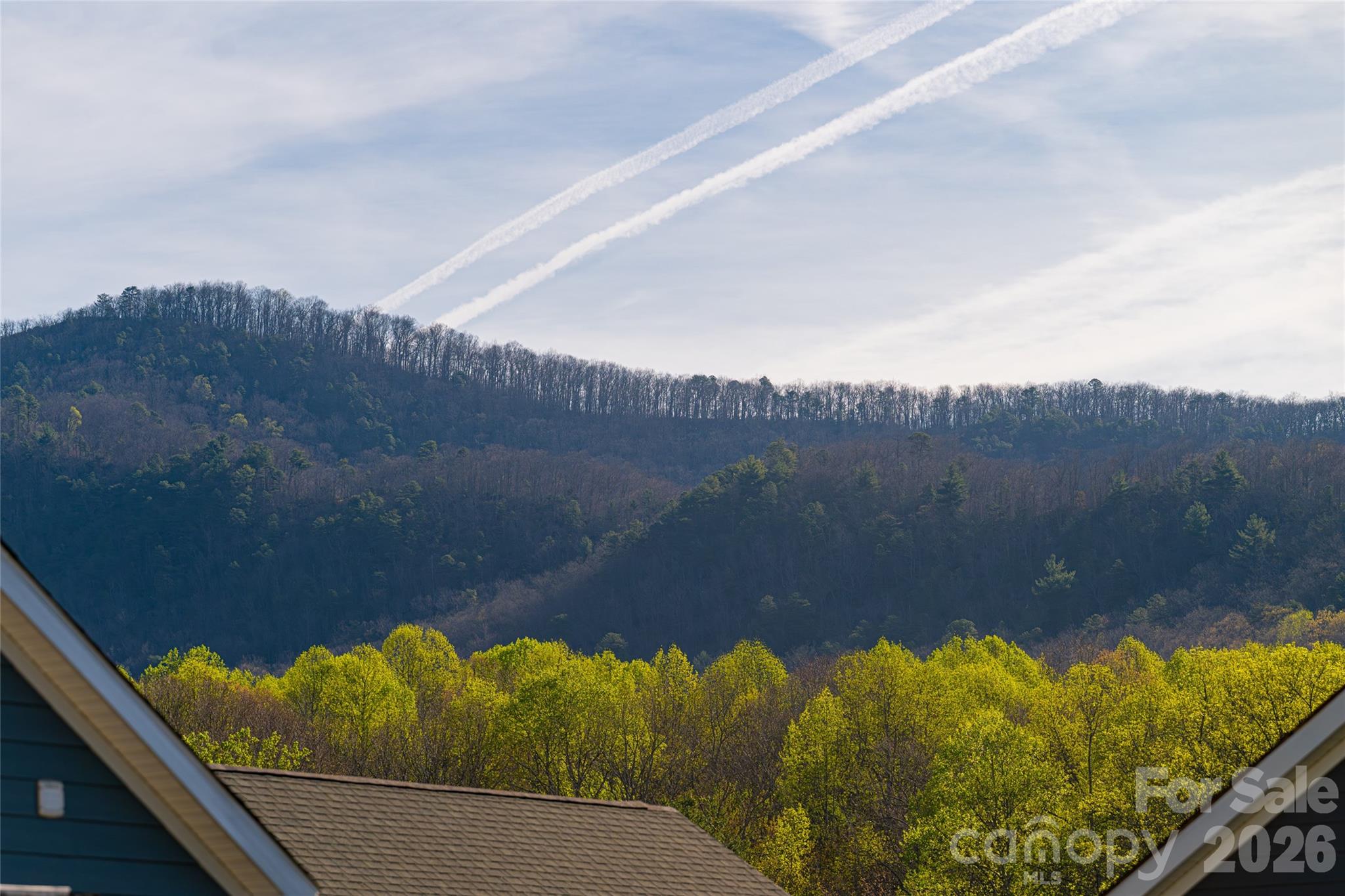 1022 Padgett Place Black Mountain NC 28711
