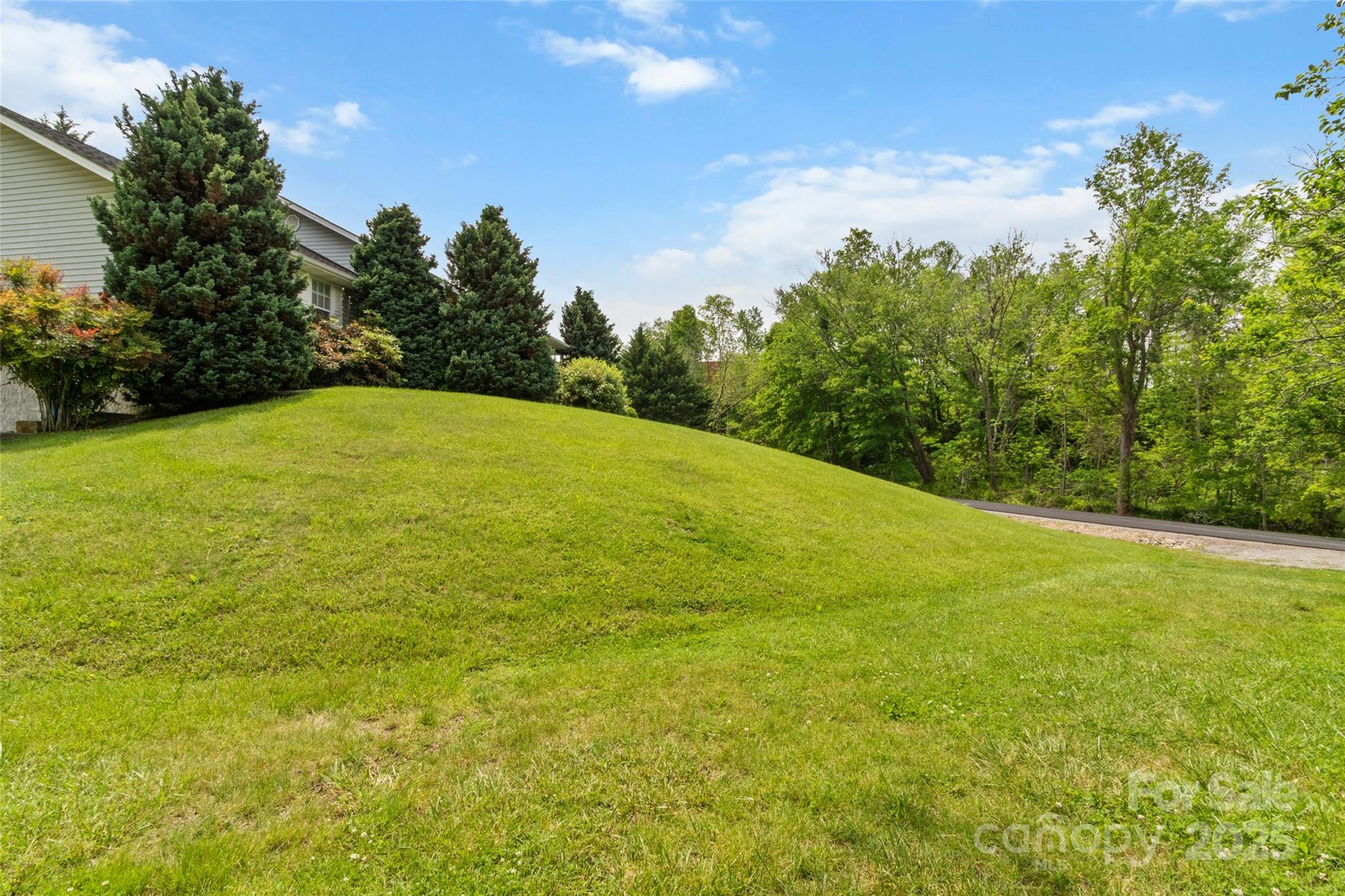 17 Gun Flint Drive Burnsville NC 28714