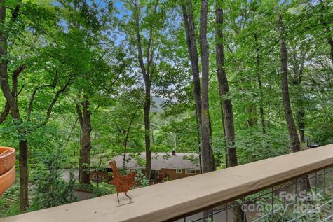 30 Hawktree Lane Waynesville NC 28786