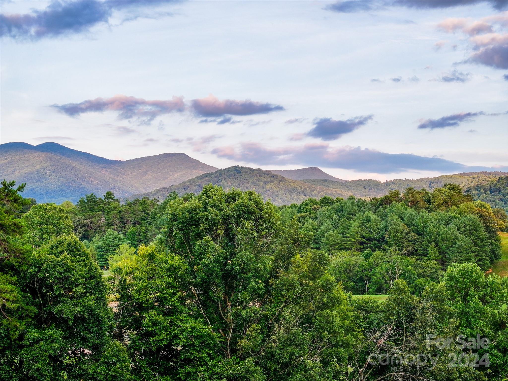 6 Manor Way Weaverville NC 28787