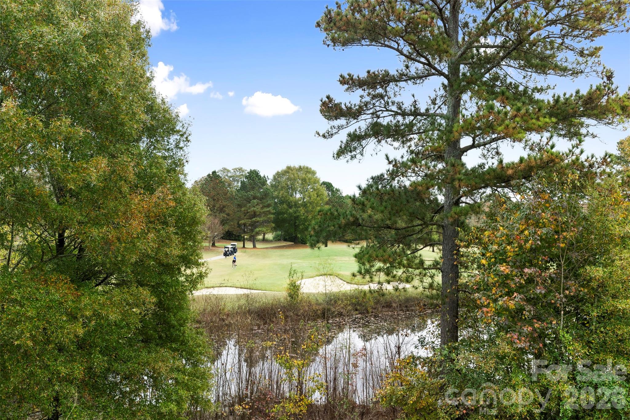 7710 Ninth Fairway Lane Mint Hill NC 28227