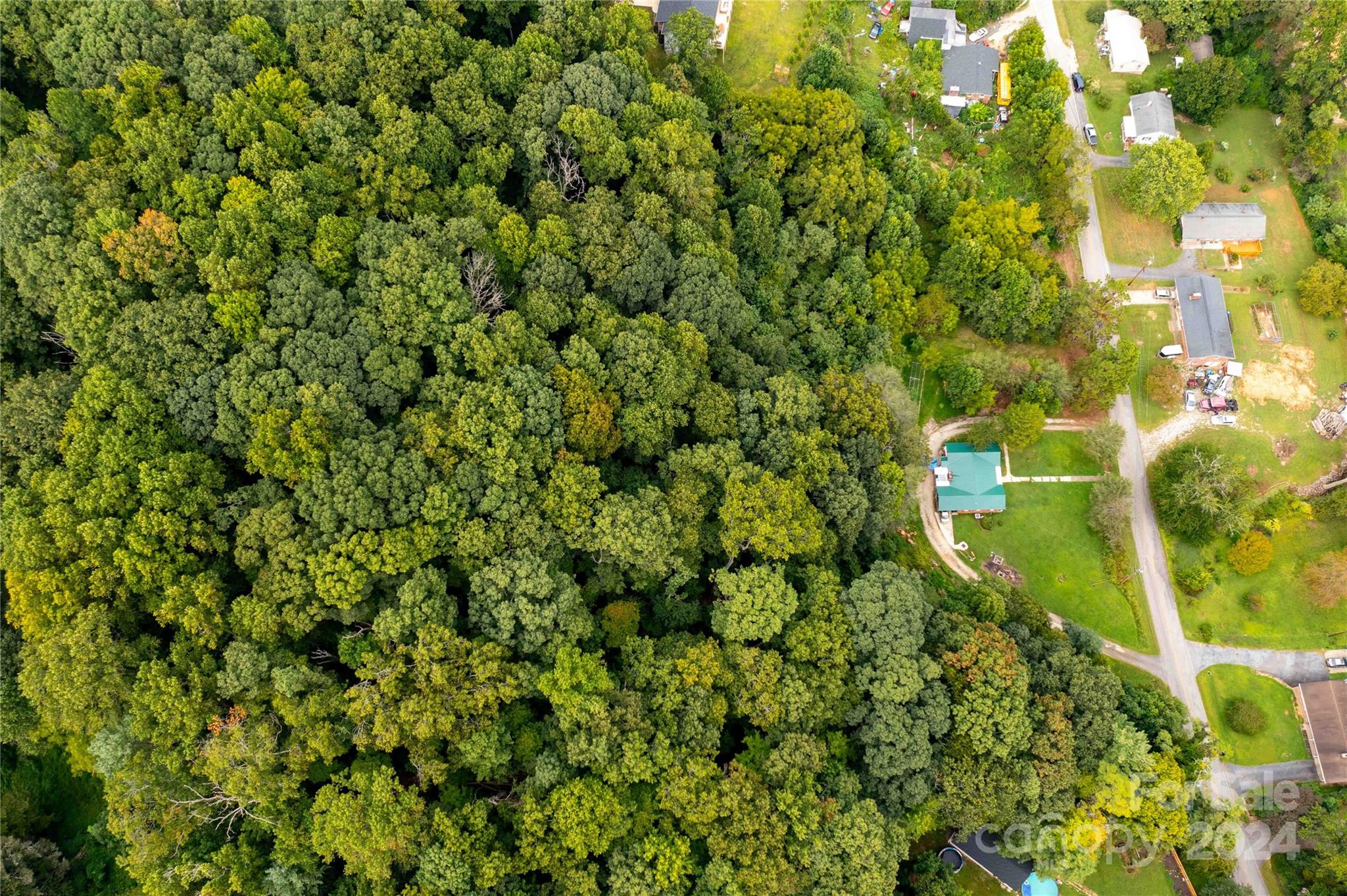 603 Halsbury Avenue Hendersonville NC 28791