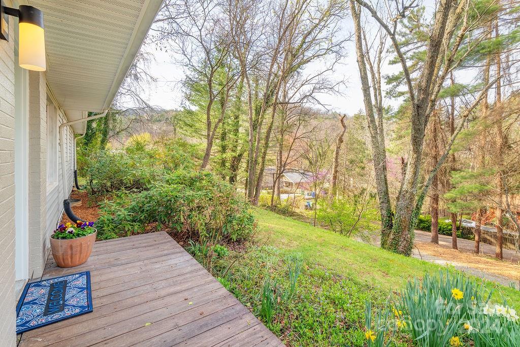 39 Sycamore Street Asheville NC 28804