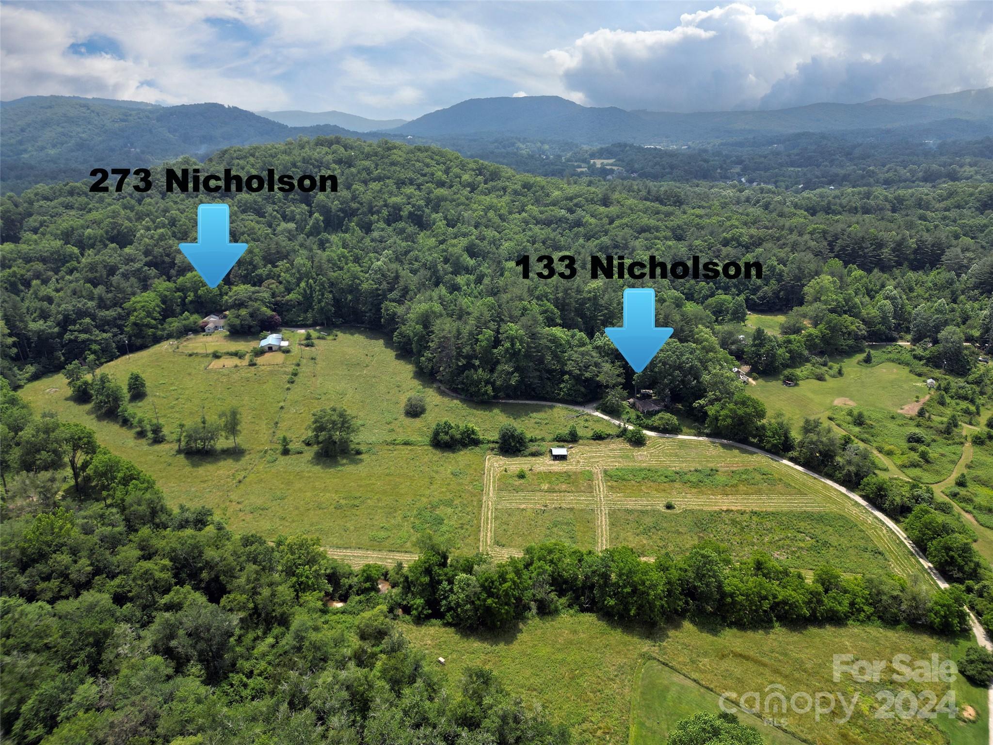 273 & 133 Nicholson Lane Etowah NC 28729