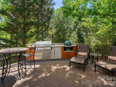 701 Baneberry Court Asheville NC 28803