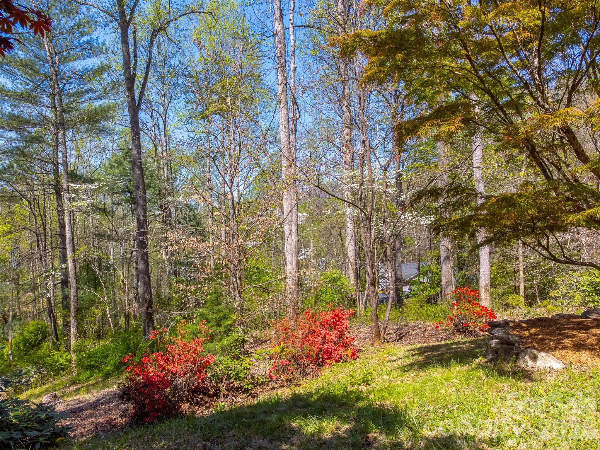 605 Toy Cove Road Sylva NC 28779